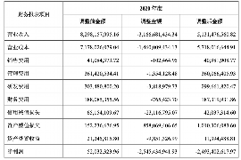 阿里专业讨债公司有哪些核心服务？